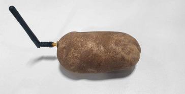 CES las vegas 2020 patate connectée